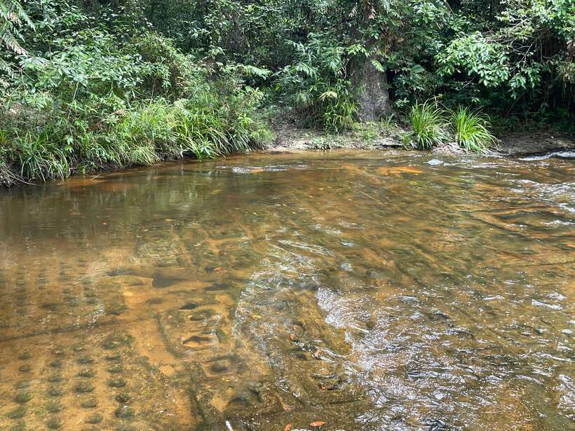 Banteay Srei, Kulen Waterfall & Beng Mealea Small-Group Tour - The River of 1000 Lingas: carvings you can almost trace by hand