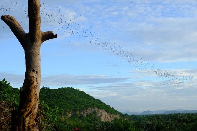 Battambang Full Day Tour from Siem Reap - Bamboo Train, Killing Cave & Sunset - Secret bat cave at sunset: when waiting turns into a show