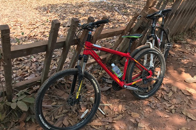 Biking Tour in Angkor Wat, Angkor Thom Ancient Capital, Ta Promh - Angkor Thom: the Victory Gate lead-in and a Bayon-face kind of day