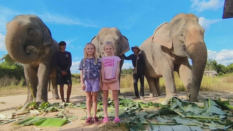 Cambodia Elephants Haft Day Experiences from Siem Reap - What makes this Siem Reap elephant day different