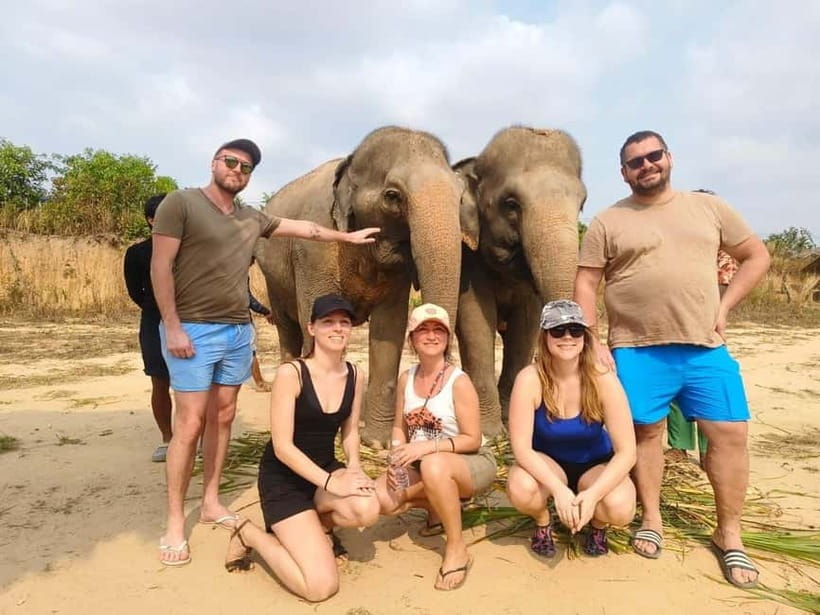Cambodia Elephants Haft Day Experiences from Siem Reap - Cows for Cambodia Farm: a long stop that adds local texture
