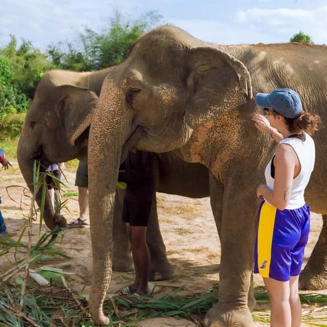 Cambodia Elephants Haft Day Experiences from Siem Reap - Price and value: what $97 includes (and what it doesn’t)