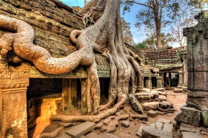 Cambodia Highlight 6 Days Tour from Siem Reap to Phnom Penh - Day 5 in Phnom Penh: palace highlights plus the hard history day