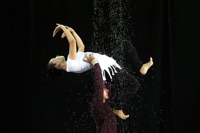 Cambodian Circus Show in Siem Reap by Phare with Hotel Pick-Up - Phare in Siem Reap: circus arts with Cambodian stories