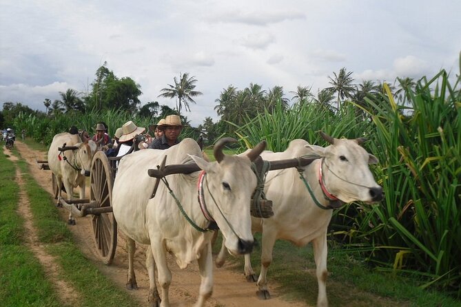 Cambodian Cooking Class and Oxcart Ride with Local Village Tour - Picking Ingredients Like a Local (Without Pretending You Know Everything)