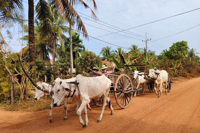 Cambodian Cooking Class and Oxcart Ride with Local Village Tour - Who This Tour Fits Best (and Who Might Skip It)