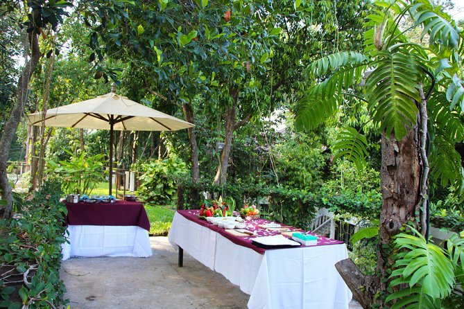 Cooking Class - Cook for the Purpose, Fun, Educational, Donation & Contribution - Service Style and Family-Friendly Energy