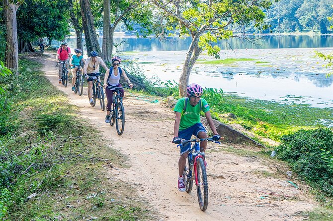 Cycle the Angkor Backroads with lunch / E-Bike or Tuk Tuk - Ta Prohm: Jungle Enveloping the Stones