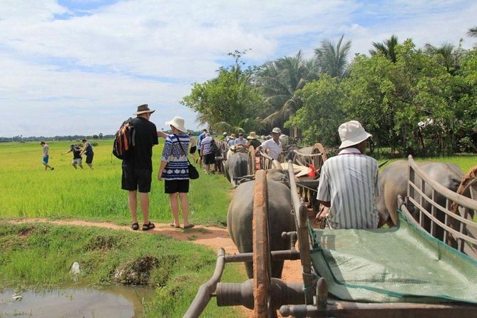 Day in a Life Authentic Village Experience in Siem Reap - Your host family day: rice work, thatch repairs, and village tasks