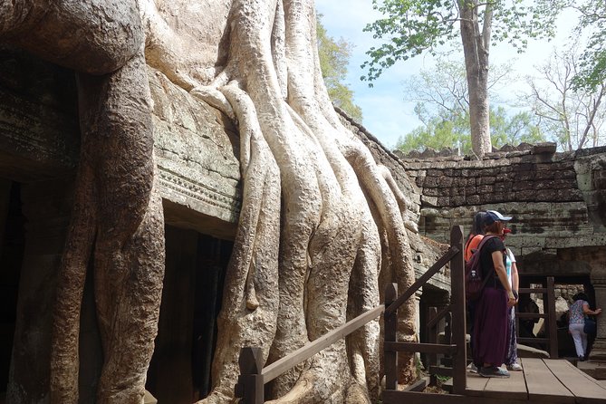 Discover Angkor Wat Temples And Phnom Kulen - Day 1 Angkor Wat + Angkor Thom: the big story, told step-by-step
