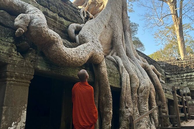 Discover Cambodia’s Heart: Siem Reap to Battambang Tours - Stop 4: Battambang Crocodile Farm listing plus arts stops (Romcheik 5 and Phare Ponleu Selpak)