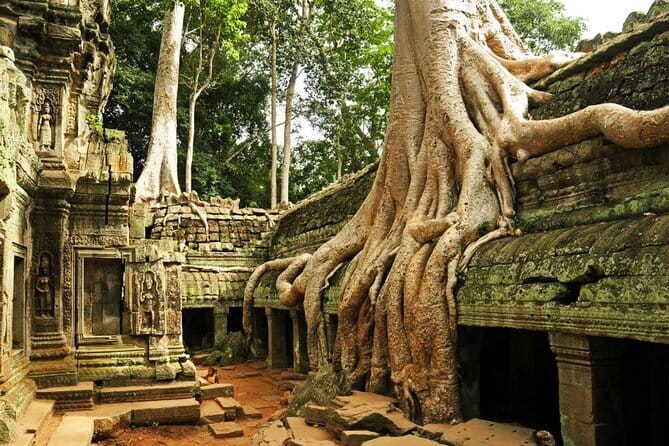 Exclusive Angkor temples and Small group temples tours - Key highlights you’ll actually feel