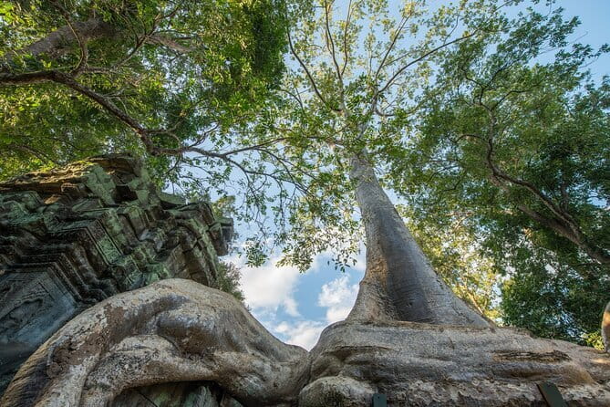 Exclusive Angkor temples and Small group temples tours - Angkor Thom South Gate: the capital’s first impression