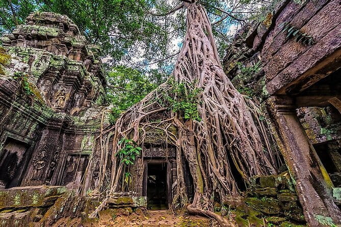 Explore Angkor Sunrise Spectacle a Full Day Temples Tour - Ta Prohm’s roots: 1 hour that feels like a different world