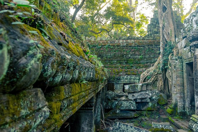 Explore Angkor Wat Temple , Bayon Temple and Jungle Temple Ta-Prohm - Private Angkor in 7 hours: who this day trip fits best