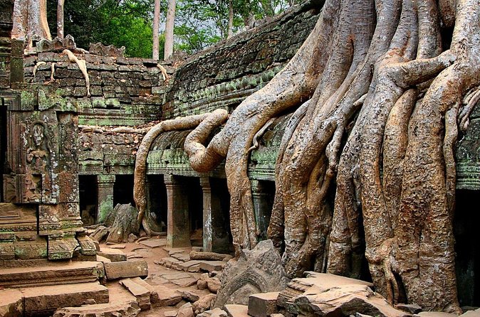 Explore Angkor Wat Temple , Bayon Temple and Jungle Temple Ta-Prohm - Comfort and pacing in Angkor: what to bring and how to survive the day