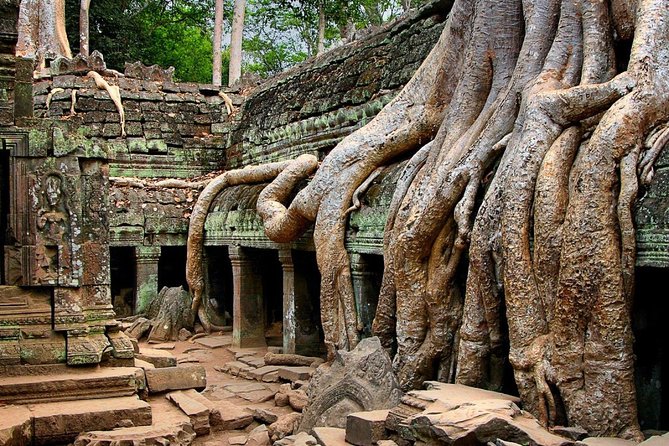 Explore Angkor Wat Temple , Bayon Temple and Jungle Temple Ta-Prohm - Price and value: what you pay for and what you still need to budget