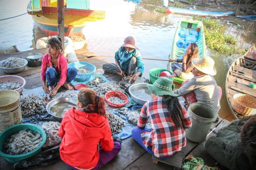 Floating Village and Tonlé Sap Sunset Tour - From Dock to Water: The 30-Minute Motorboat Ride That Sets the Tone