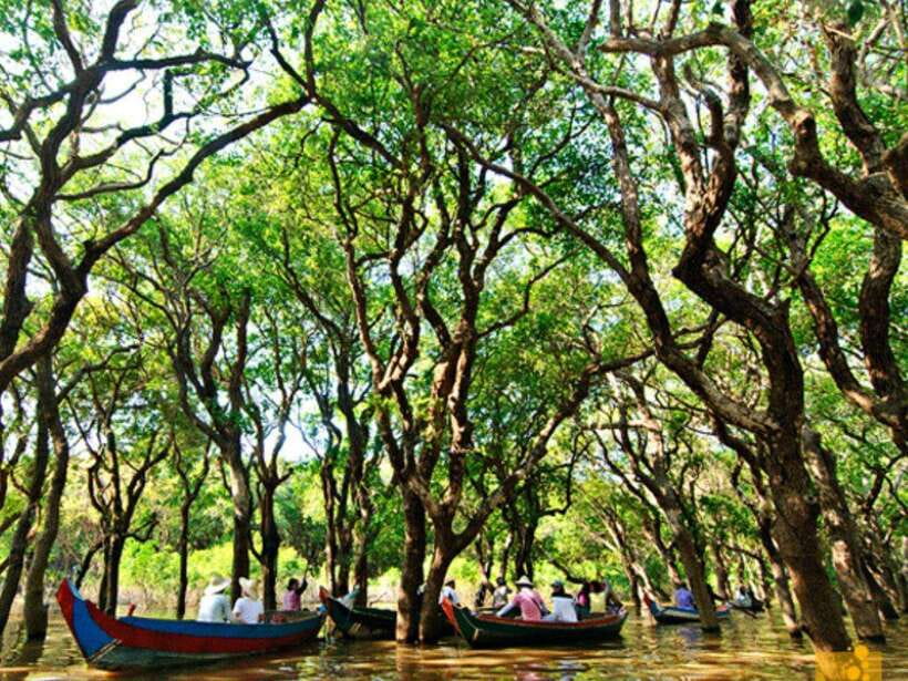 Floating Village-Mangroves Forest Tonle Sap Lake Boat Tour - Temples and heritage stops after lunch: Wat Bo and beyond