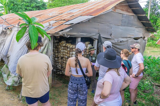 Floating Village Sunset Boat & Jeep Tour - Inclusive Drinks - The 3:00pm start: pacing that matches the light