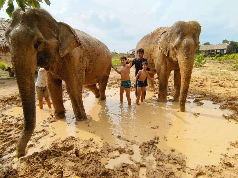 From Siem Reap: Elephant Sanctuary Experience with Transfers - Key Things That Make This Elephant Sanctuary Day Worth It