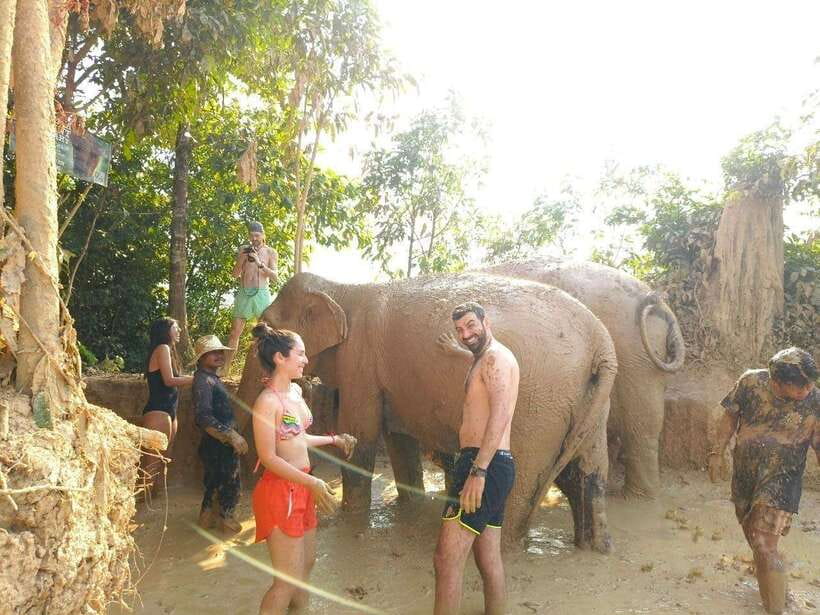 From Siem Reap: Elephant Sanctuary Experience with Transfers - Getting There: The Calm Minivan Ride Into the Sanctuary