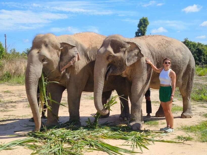 From Siem Reap: Elephant Sanctuary Experience with Transfers - Feeding Time: Handmade Snacks and Digestive-Support Food