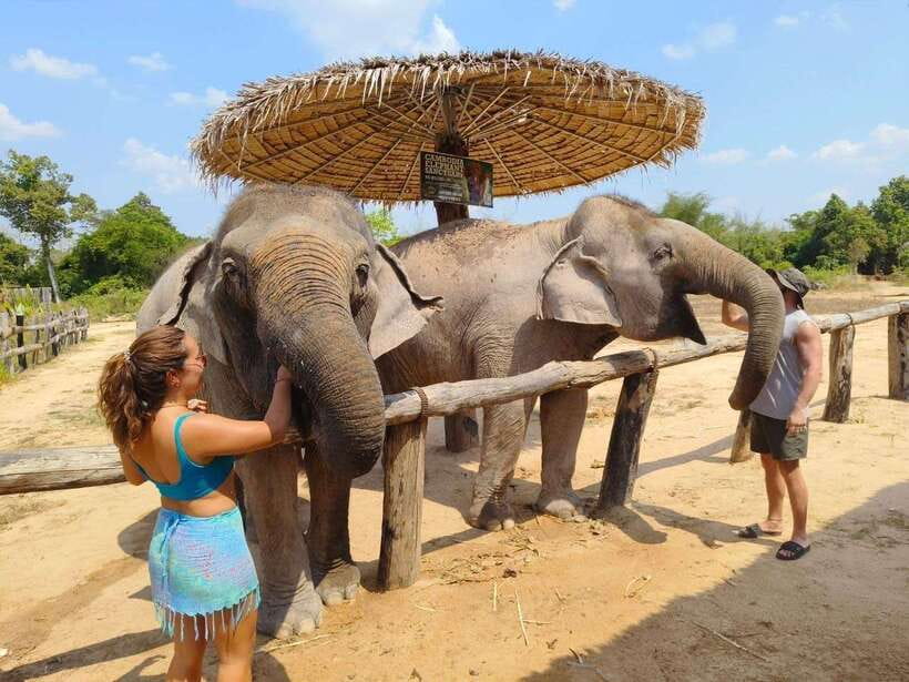From Siem Reap: Elephant Sanctuary Experience with Transfers - River Bath and Scrubbing: Up Close, But on Their Terms