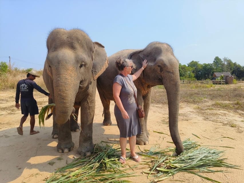 From Siem Reap: Elephant Sanctuary Experience with Transfers - Price and Value: Why $69 Can Be Worth It (and When It Might Not Be)