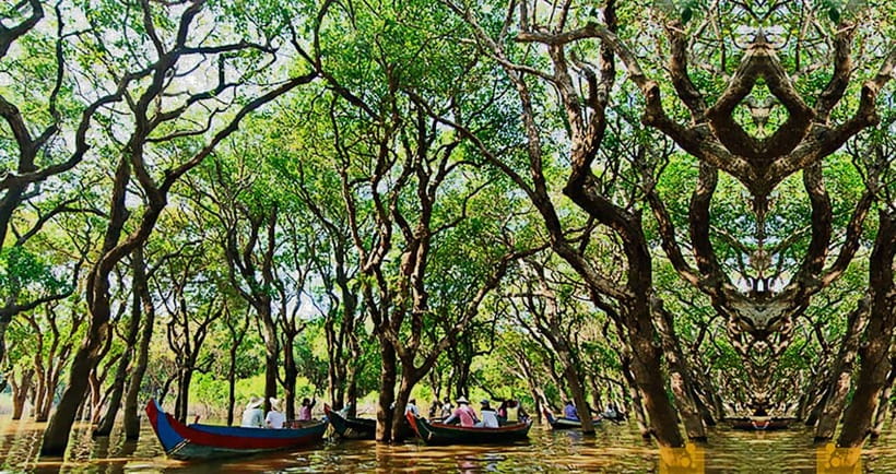 From Siem Reap: Floating Village Tour by Boat - The flooded-forest rowing canoe option (Oct–Jan) and the floating café pause