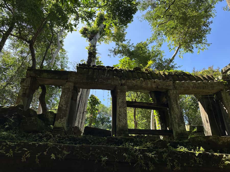 From Siem Reap: Half-Day Tour to Beng Mealea Temple - Time Saver: Using Your Angkor Pass and Skipping the Ticket Line