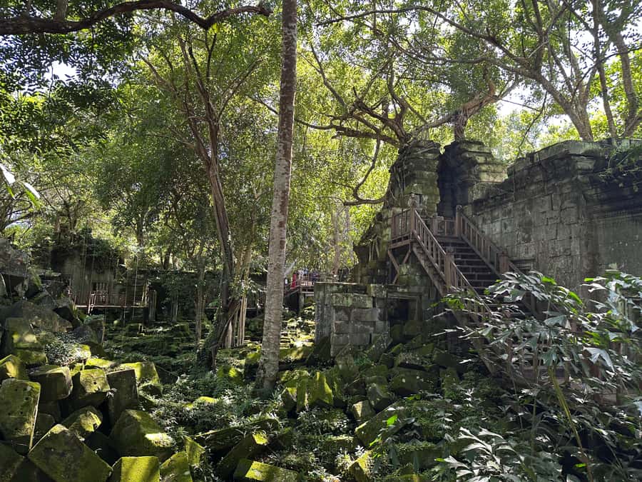From Siem Reap: Half-Day Tour to Beng Mealea Temple - FAQ