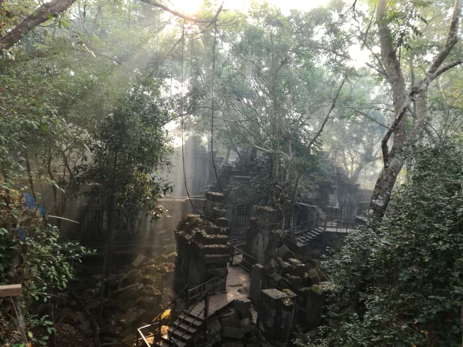 From Siem Reap: Half-Day Tour to Beng Mealea Temple - Pickup and the Countryside Drive: What You’ll Learn on the Way