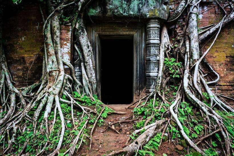 From Siem Reap: Koh Ker and Beng Mealea Temples Tour - The English guide and small-group pace that makes photos easier