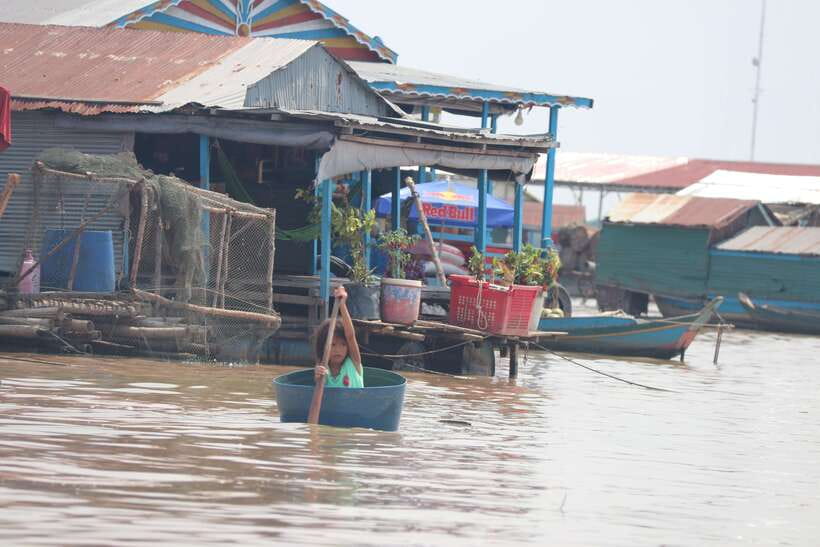 From Siem Reap: Tonle Sap Floating Villages Tour - Crocodile and Fish Farms: What You Might See When Water Levels Cooperate