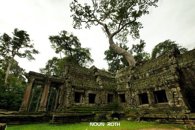Full-Day Angkor Wat & All Must-See with Banteay Srei Private Tour - Ta Prohm: tree roots and a movie vibe that still feels real