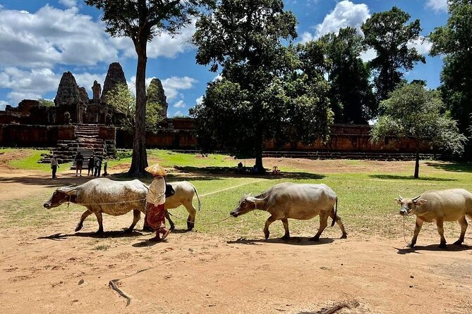 Full-Day 'Big Tour' with Sunset at Phnom Bakheng - Preah Khan: A 12th-Century Temple with a Clear Backstory