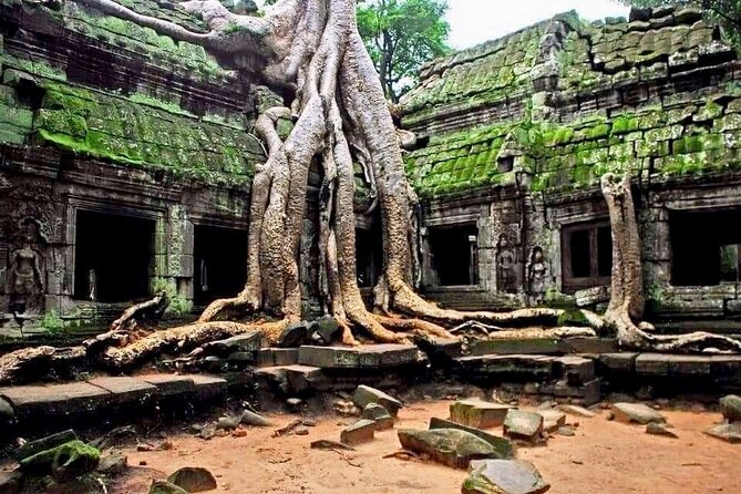 Full-day Private VIP Tour to Angkor Complex - What I’d watch out for