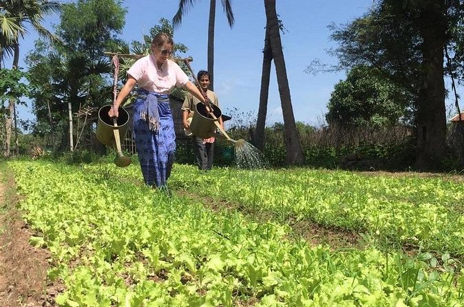 Full Day Siem Reap Farm Tour with Cooking Class and Monk Blessing - The cooking class: farm-to-table, and you taste the result