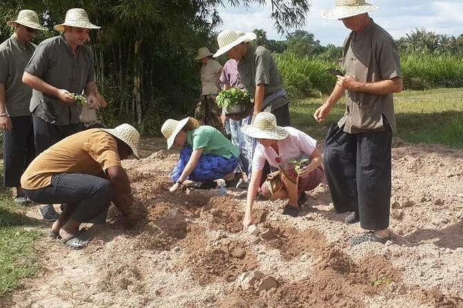 Full Day Siem Reap Farm Tour with Cooking Class and Monk Blessing - Timing and pacing: how an 8–9 hour day stays manageable