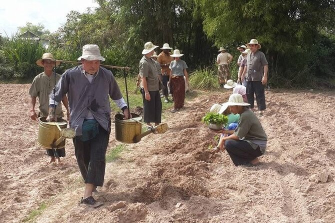 Full Day Siem Reap Farm Tour with Cooking Class and Monk Blessing - Farm time: what you’re doing out in the fields