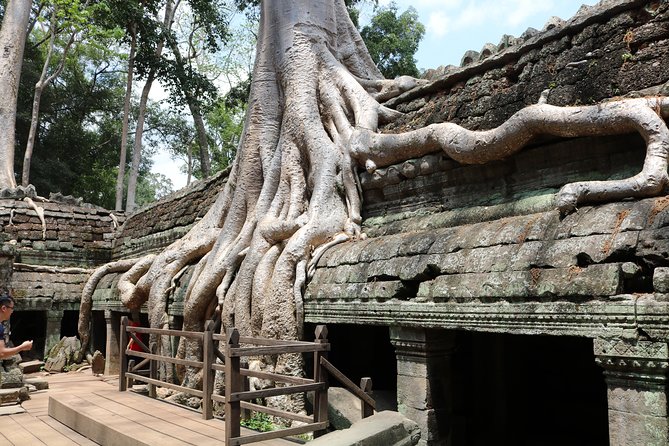 Full Day Temples Explorer - Small Group - Price and value: $19 tour plus temple pass budgeting