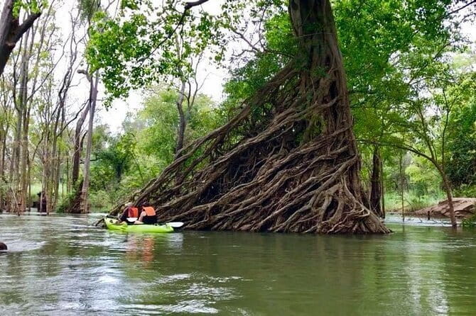 Full Day Tour from Siem Reap - Bamboo Train, Killing Cave & Sunset - The pacing: how the day stays full without feeling frantic