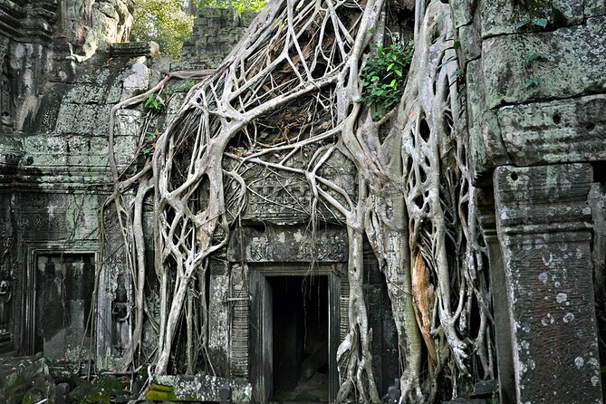 Guided Private A/C Vehicle Tour to Angkor Wat and Small Circle with Two Extras - Why the A/C private vehicle makes this day trip easier