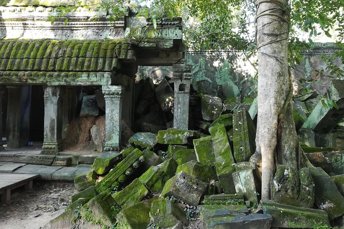 Half Day Angkor Wat Sunrise Private Tour - Sunrise at Angkor Wat: the reason this tour works