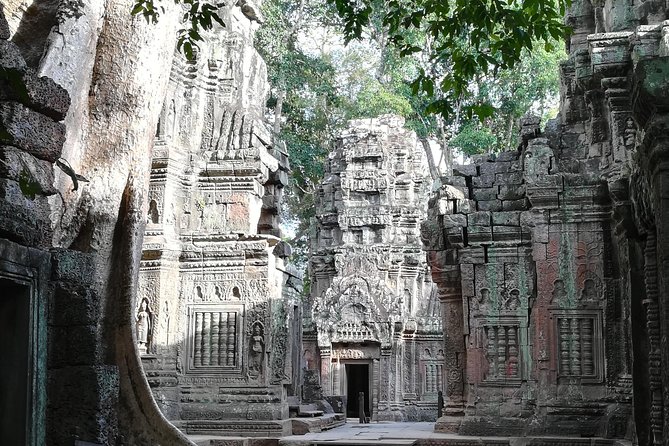Half Day Angkor Wat Sunrise Private Tour - Who this tour is best for