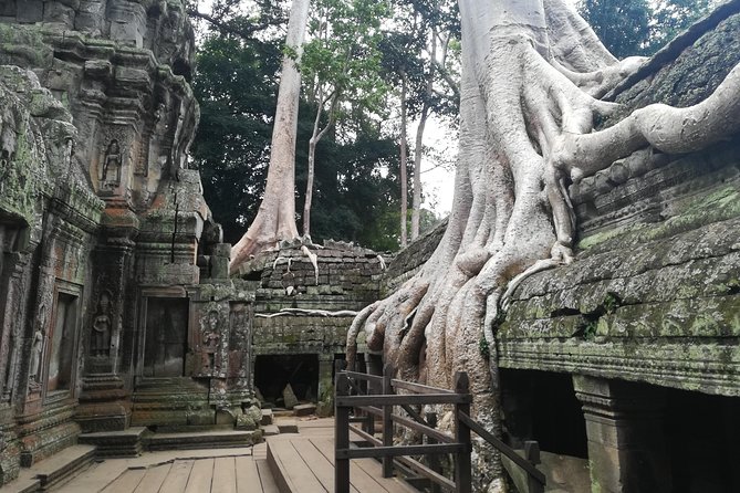 Half Day Angkor Wat Sunrise Private Tour - Stop 1: Angkor Wat and the sunrise approach