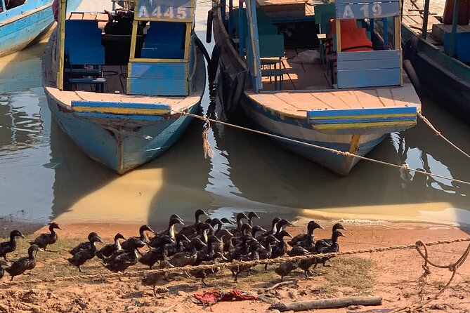 Half Day Floating Village ( Mechrey) & Tole Sap Tour - Lotus, Duck, Fish, and Crocodile Farms: Why These Stops Matter