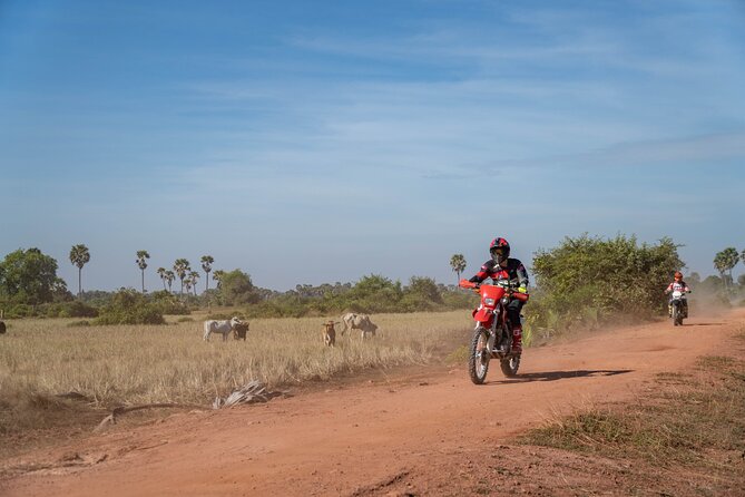 Half Day Siem Reap Off-Road Ride Tour - The Real Upside: Your Guide Makes the Day