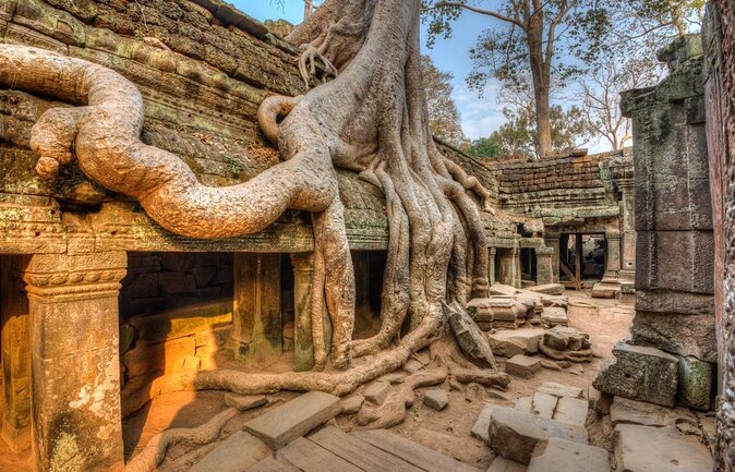Half-Day Ta Prohm and Banteay Kdei Tour - Key highlights at a glance